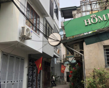 phân lô gia quất