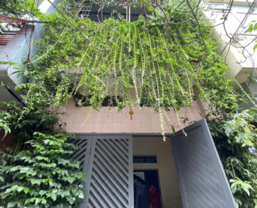 nhà phân lô Ngọc Lâm