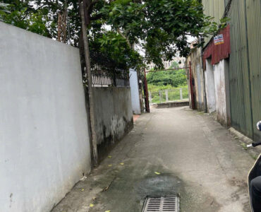 bán đất trường lâm