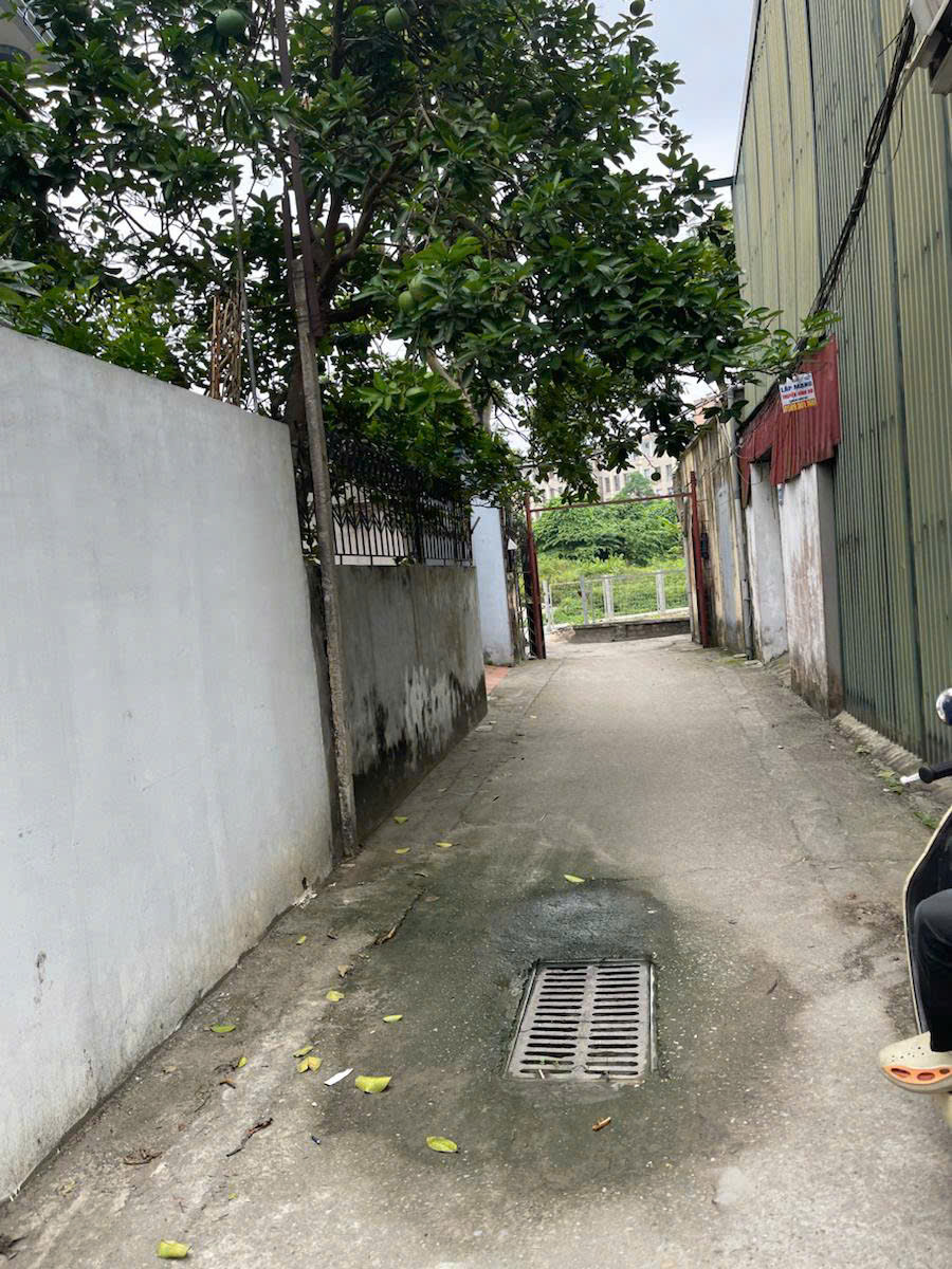 bán đất trường lâm