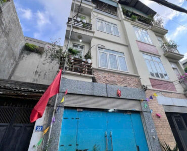 bán nhà ngô gia tự