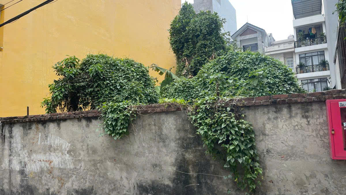 đất đẹp tư đình