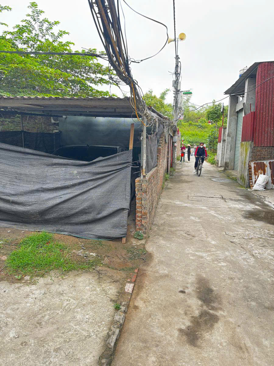 bán đất viên chiếu - đê vàng